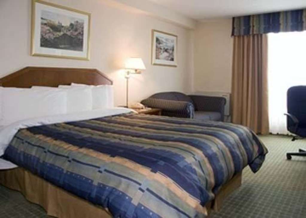 Four Points By Sheraton Toronto Airport East Ruang foto
